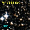 V* V365 Sct