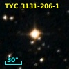 TYC 3131-206-1