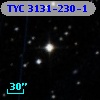 TYC 3131-230-1