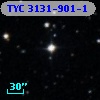 TYC 3131-901-1
