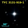 TYC 3131-919-1
