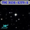 TYC 3131-1273-1
