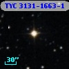 TYC 3131-1663-1