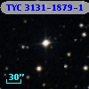 TYC 3131-1879-1