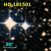 HD 181501