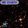 HD 181079