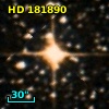 HD 181890