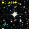 HD 181664