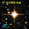 V* V1460 Aql