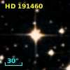HD 191460