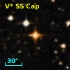 V* SS Cap