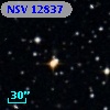 NSV 12837
