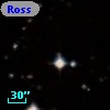 Ross  761