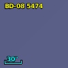 BD-08  5474