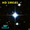 HD 199181