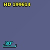 HD 199614