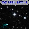 TYC 3188-1877-1