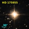HD 175955