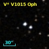V* V1015 Oph