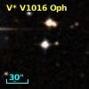 V* V1016 Oph