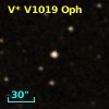V* V1019 Oph