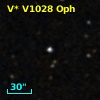 V* V1028 Oph