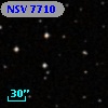 NSV  7710