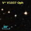 V* V1037 Oph