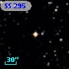 SS 295