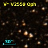 V* V2559 Oph