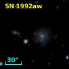 SN 1992aw