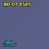 BD-07  4585