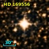 HD 169556