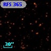 RFS  365