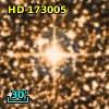 HD 173005