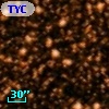 TYC 5125-2220-1