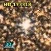 HD 173318