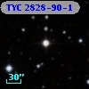 TYC 2828-90-1