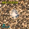 HD 173219