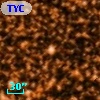 TYC 5125-1409-1