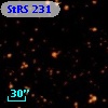 StRS 231
