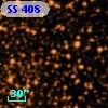 SS 408