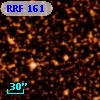 RRF  161