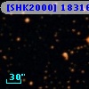 [SHK2000] 18316-0602