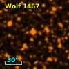 Wolf 1467