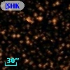 [SHK2000] 18372-0537