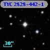 TYC 2828-442-1