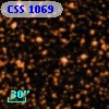 CSS 1069