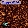 Trigger  6204