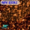 NSV 11282